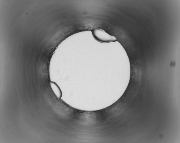 X0000112060317200909151031