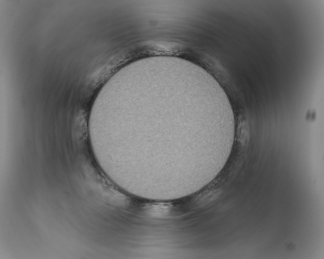 X0000112060318200909151031