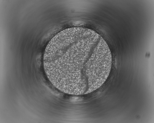 X0000112060319200909151031