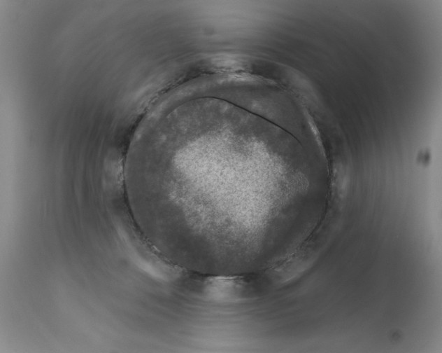X0000112060320200909151031