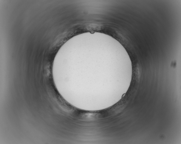X0000112060323200909151031