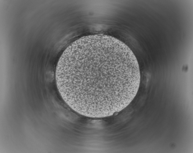 X0000112060324200909151031