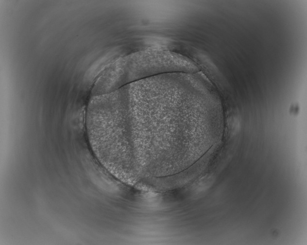 X0000112060325200909151031