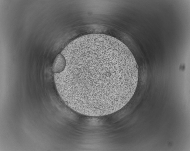 X0000112060326200909151031