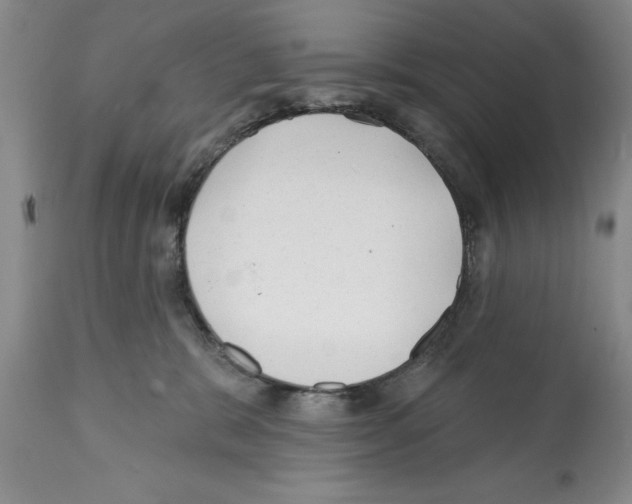 X0000112060327200909151031