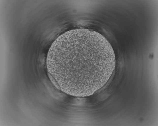 X0000112060328200909151031