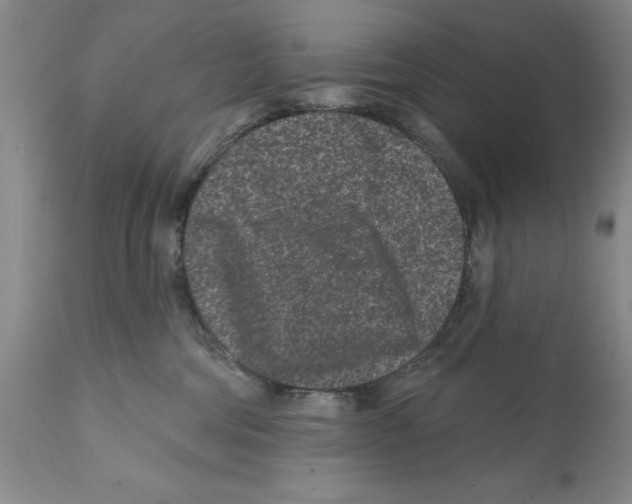 X0000112060330200909151031