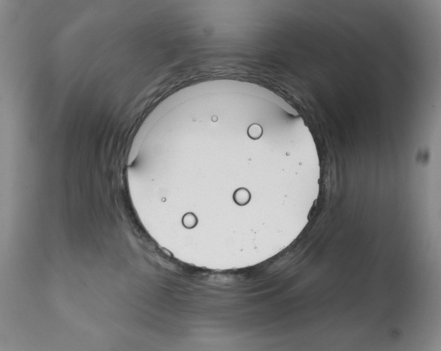 X0000112060332200909151031