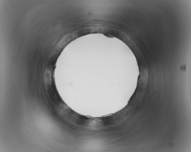 X0000112060333200909151031