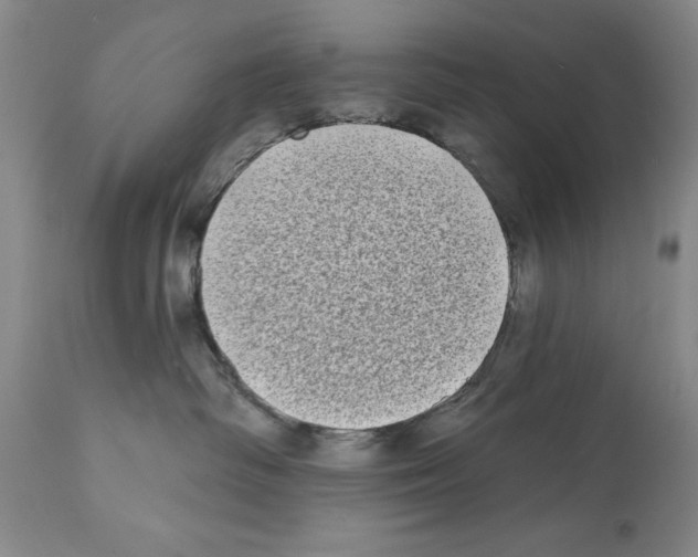 X0000112060334200909151031