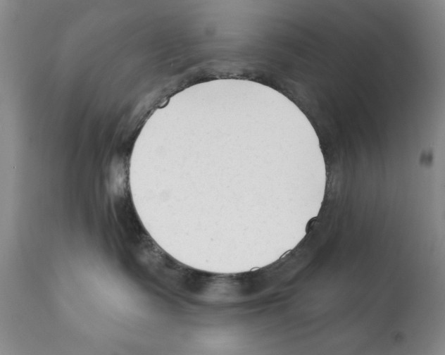 X0000112060335200909151031