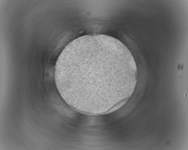 X0000112060336200909151031
