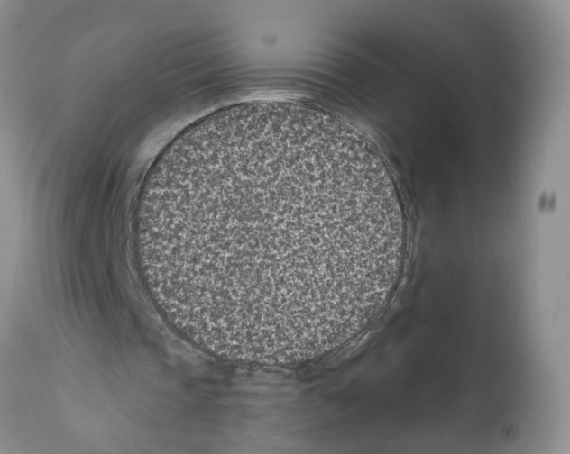 X0000112060337200909151030