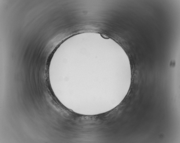 X0000112060338200909151030