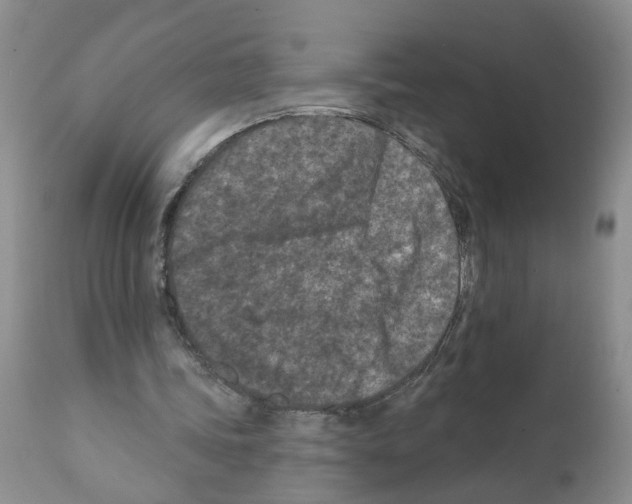 X0000112060339200909151030