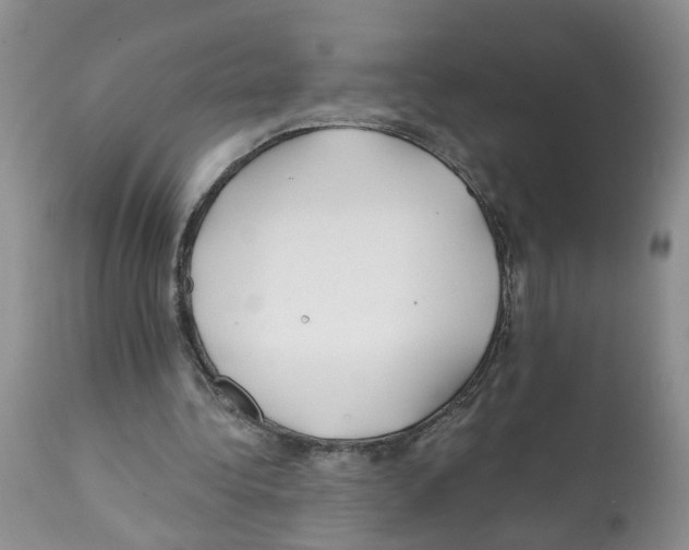 X0000112060340200909151030
