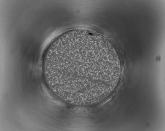 X0000112060343200909151030