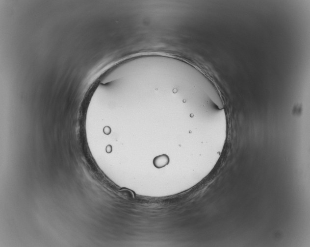X0000112060344200909151030