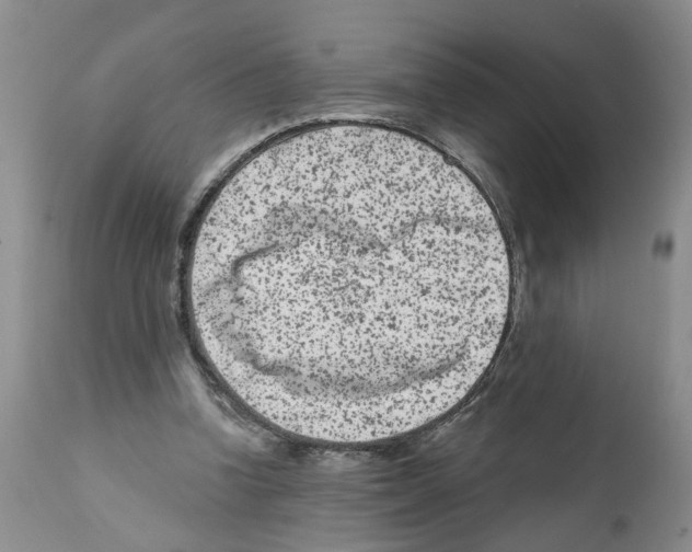 X0000112060346200909151031