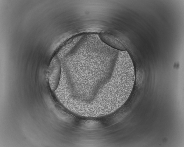 X0000112060348200909151031