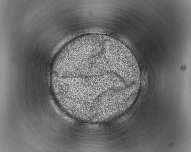 X0000112060349200909151031
