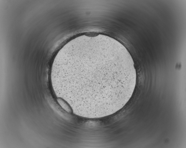 X0000112060350200909151031