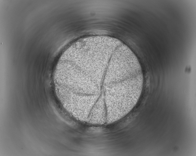 X0000112060351200909151031