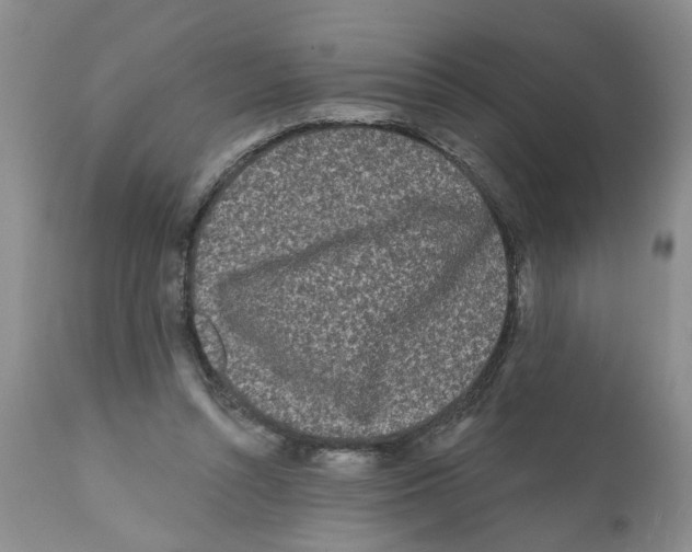 X0000112060352200909151031