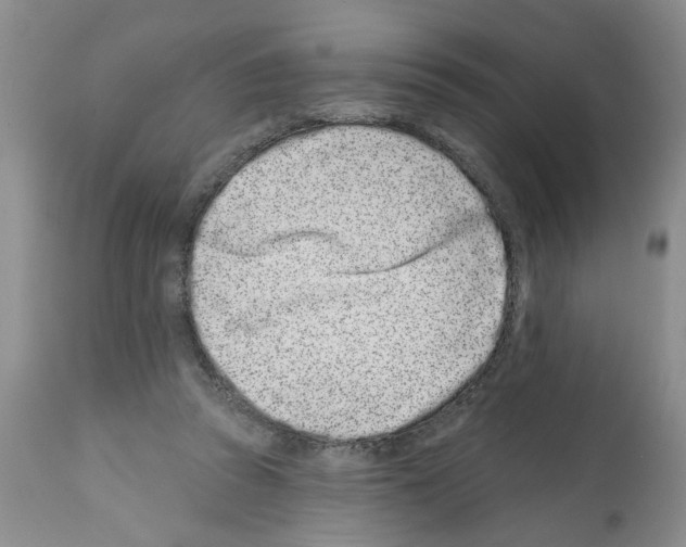 X0000112060353200909151031