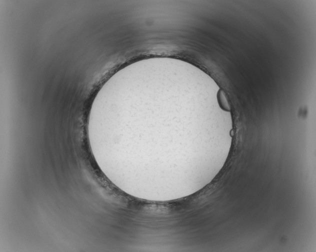 X0000112060354200909151031