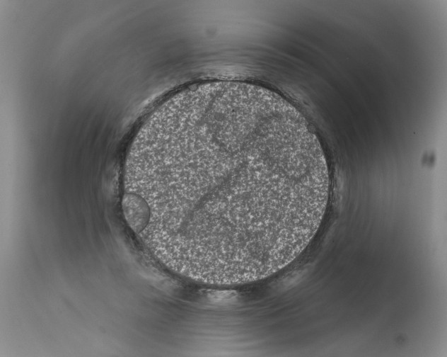 X0000112060355200909151031