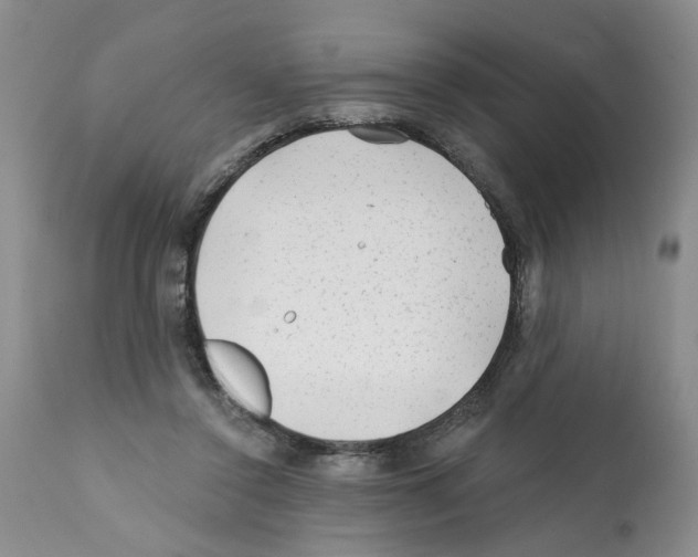 X0000112060356200909151031