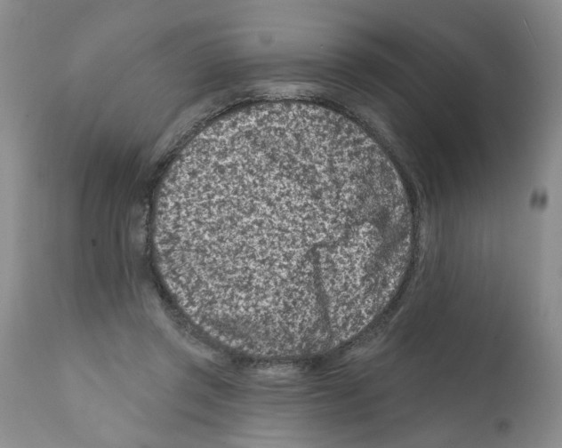 X0000112060357200909151031