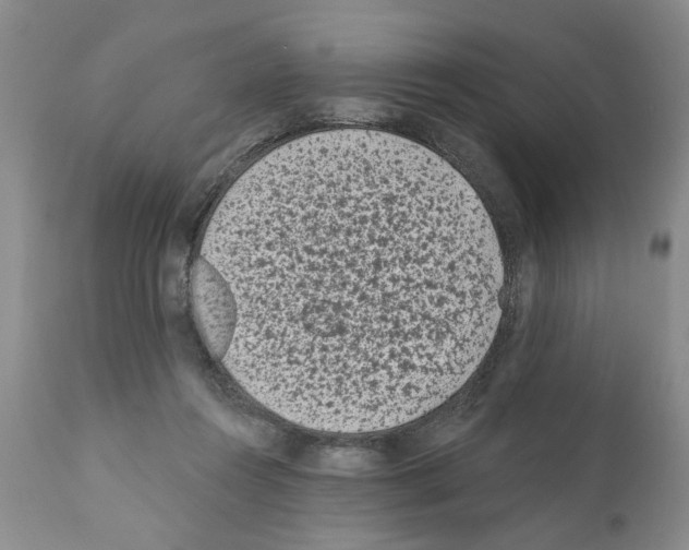 X0000112060360200909151031