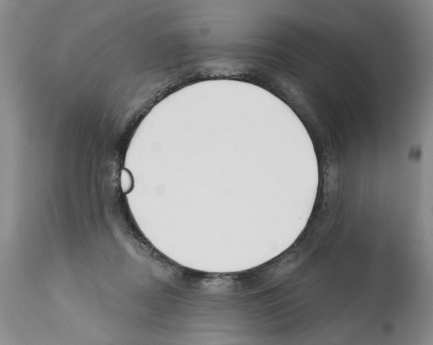 X0000112060362200909151031