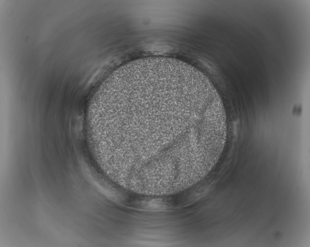 X0000112060365200909151031