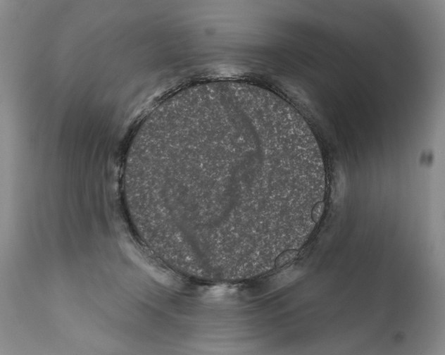 X0000112060366200909151031