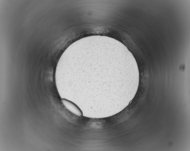 X0000112060368200909151031