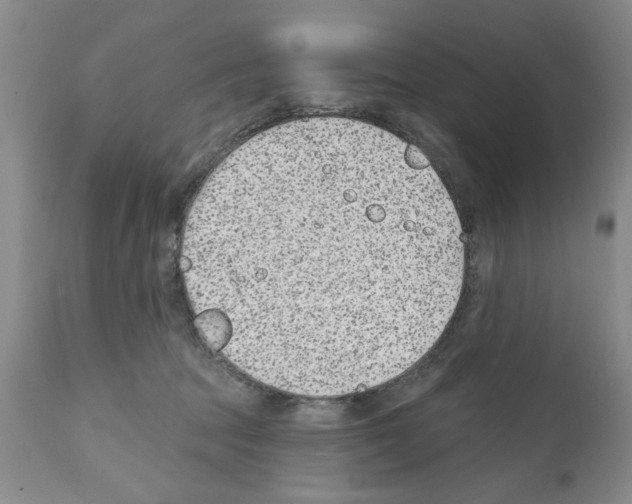 X0000112060369200909151031