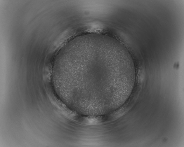 X0000112060370200909151031