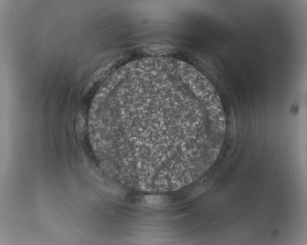 X0000112060371200909151031