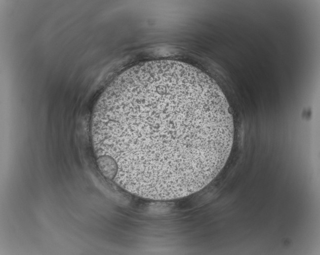 X0000112060373200909151031