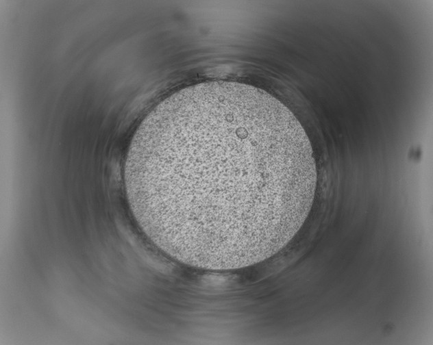 X0000112060375200909151031