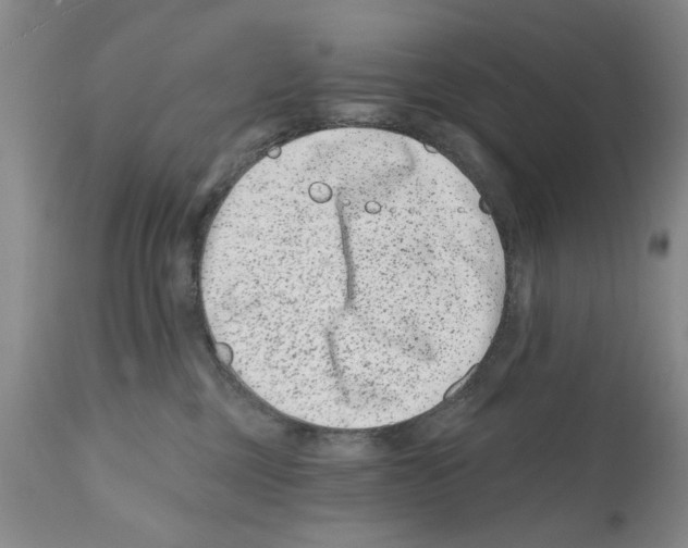 X0000112060377200909151031