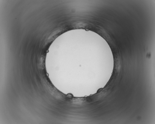 X0000112060378200909151031