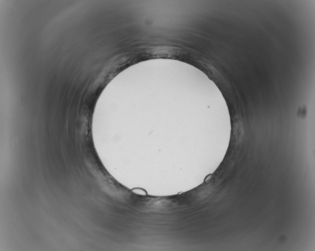 X0000112060379200909151031