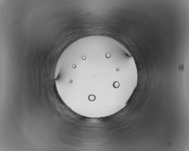 X0000112060380200909151031