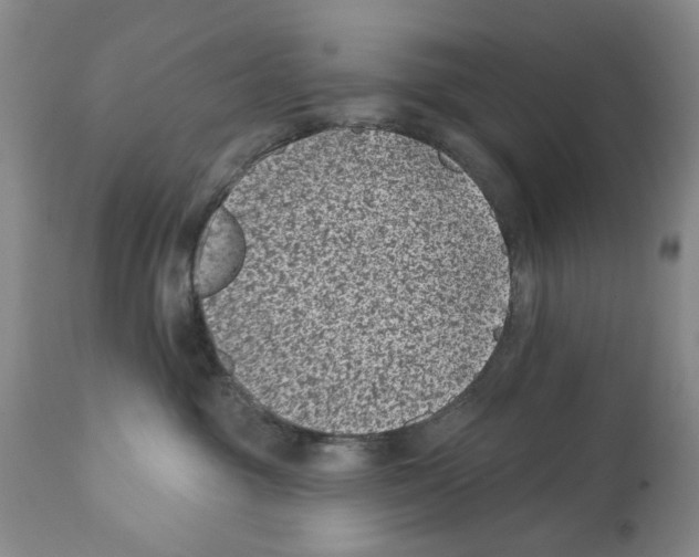 X0000112060381200909151031