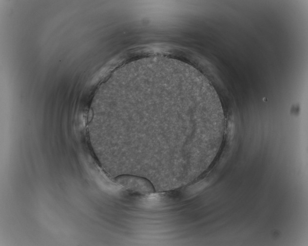 X0000112060382200909151031