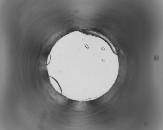 X0000112060384200909151031